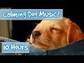 How to Relax Your Dog! Calm Dogs and Puppies Down with Soothing Music to Relieve Anxiety and Stress!