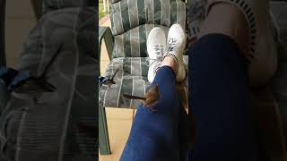 Superb Fairy Wren. Blue Wren