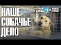 Невостребованные. Ирина Воробьёва. Новая газета х Живой гвоздь / 26.01.24