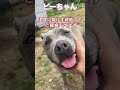 今日はピーちゃん