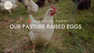 Pasture Raised Eggs Near Me - Tuckaway Farm Bentonville Arkansas