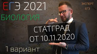 ЕГЭ 2021| БИОЛОГИЯ | РАЗБОР СТАТГРАДА 10.11.2020 1 вариант