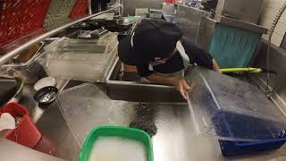 Soapy Sagas: A Day in the Dish Pit
