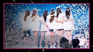 Apink Pink Paradise Concert 2015 (First Concert) Eng Sub