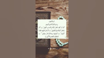 سورة الفيل بصوت خاشع #القرآن_الكريم #راحة_نفسية #تلاوات #quran #القران_الكريم #آيات #سورة_الفيل