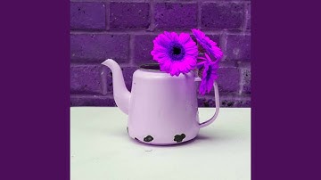 Serene Backdrops for Simple Curiosity