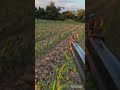 #hunting #viral #shortsviral #shorts
