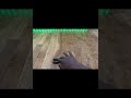 Teck Deck Tricks