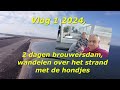 Vlog 1 2024 2 dagen brouwersdam wandelen op het strand met de hondjes