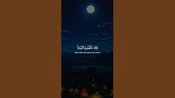 اكتب شيء تؤجر عليه 😴💚 قران كريم | ياسر الدوسري