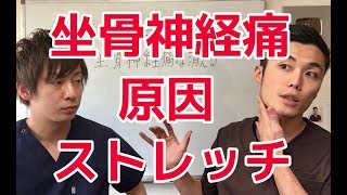坐骨神経痛を原因から治すストレッチ