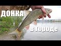 Ловля на донку с кормушкой с берега  | Рыбалка с Fishingsib