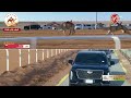 الشوط 4 سيف الحول المفتوح الوراية لـ هجن الرئاسة 12 03 96 مهرجان الملك عبدالعزيز للابل 2025