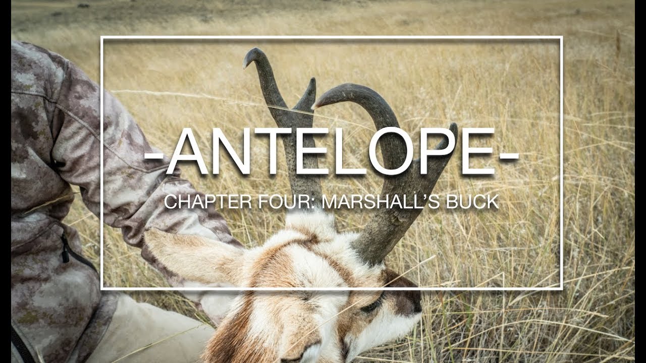  ANTELOPE DIY Pronghorn Hunting in Wyoming (Part 4) YouTube