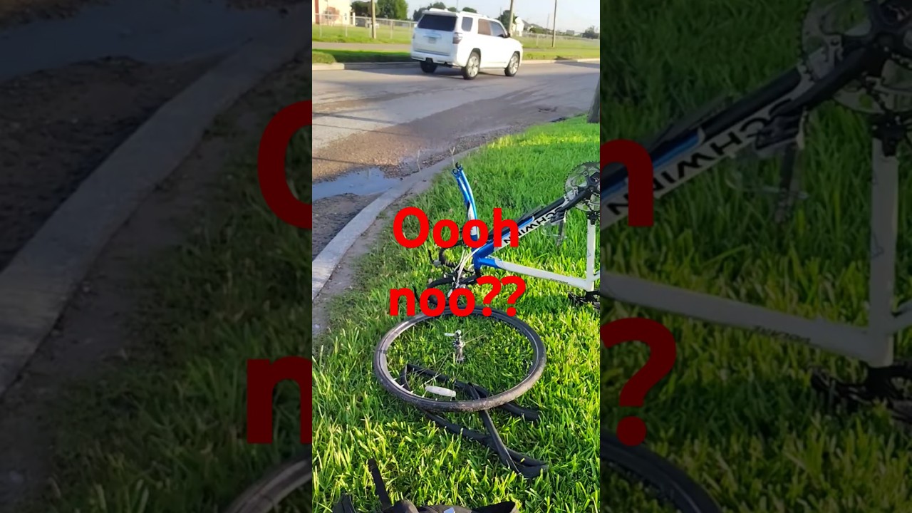 this happened when you love roabike 