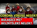 CORONAVİRÜS GERÇEKLERİ ? ( YARASA ÇORBASI )