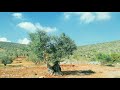 أنشوده يا خير أمة سيري نحو الشمس بدون ايقاع موسيقى عبد الفتاح عوينات 