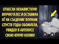 Отнесла ненавистную внучку в лес на съедение волкам, а спустя годы увидела ее в автобусе и обомлела