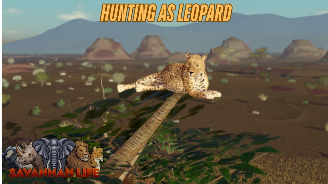 Hunting as Leopard in Savannah Life ⏐ Roblox PT1