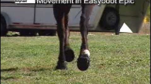 Movement in Easyboot Epics