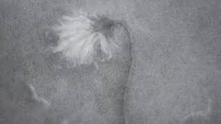 Dopamine - Incised by Water | 水棱