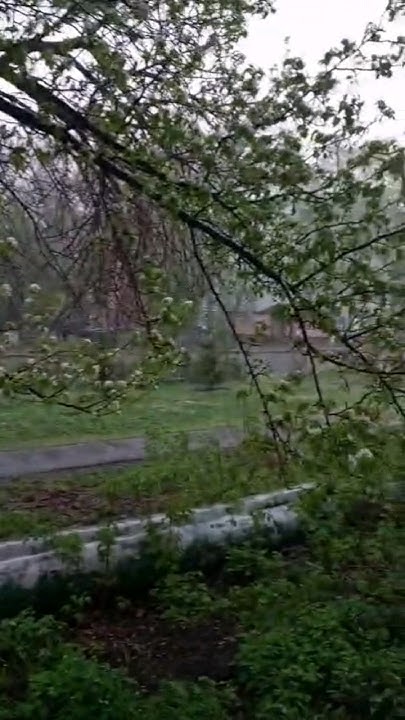 Петропавловск.Погода 9.05.24. - YouTube