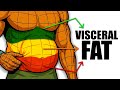 Your Visceral Fat Might Be Killing You (heres why)