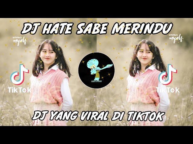 VIRALL DJ TIKTOK TERBARU! HATE SABE MERINDU - ( HarrisNugraha ) class=