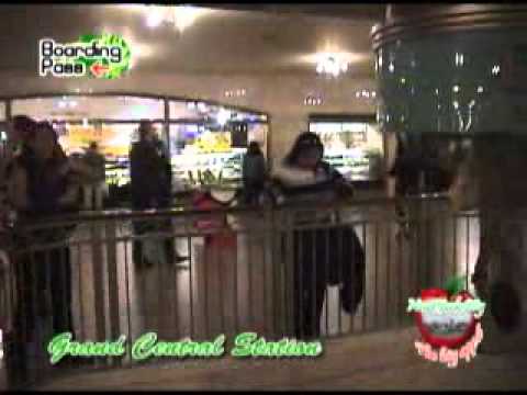 GRAND CENTRAL STATIONS Y BRYANT PARK NY.flv