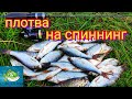 Мормышинг,плотва на спиннинг, curious fish, neoline 0.1-2