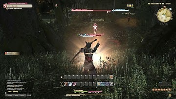 FFXIV - A Good Adventurer is Hard to Find