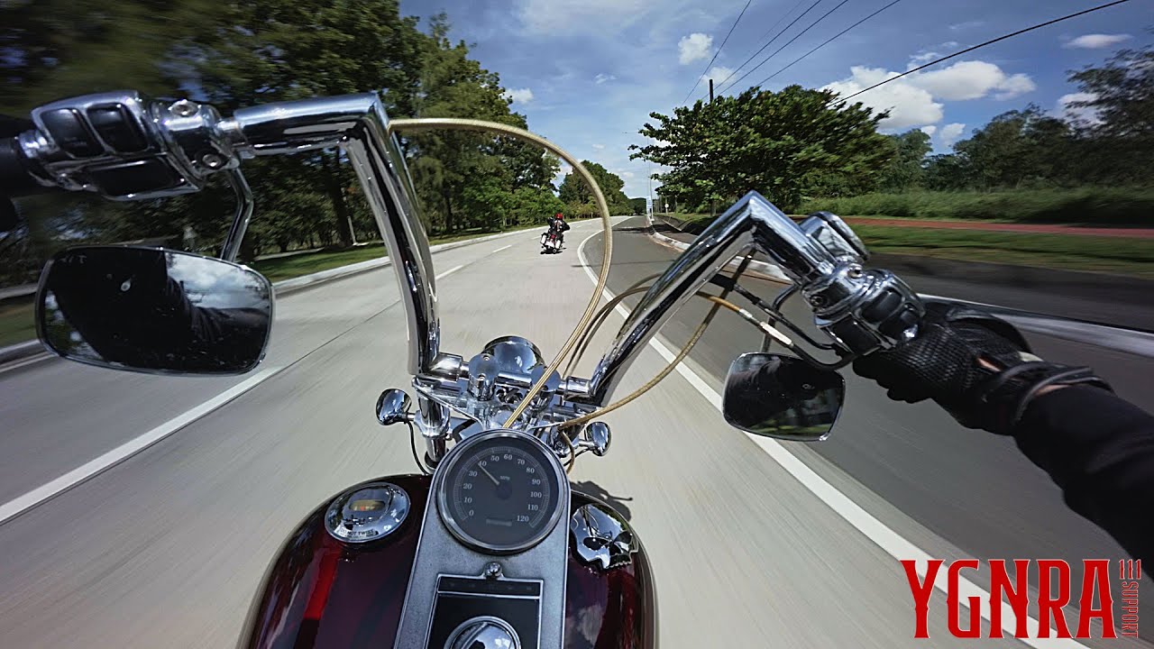 SINCERELY, YOGNIRA | 2000 HARLEY DAVIDSON SOFTAIL STANDARD