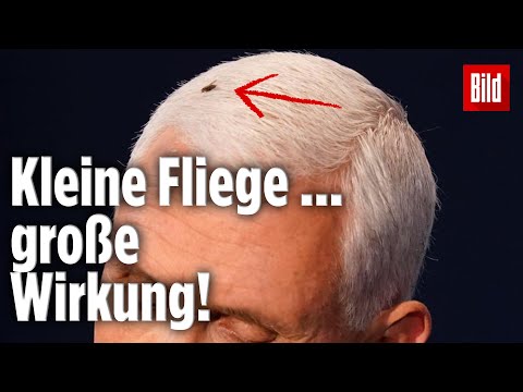 TV-Duell: Diese Fliege