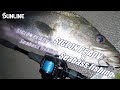 Seabass angler Kunihiko Hamamoto talks about SIGLON PE ADV.