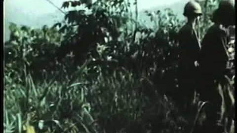 Dick Matson  a vietnam experience