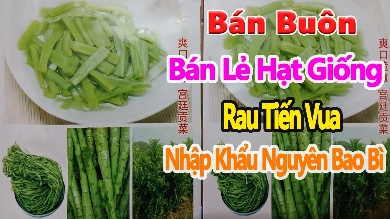 hạt giống rau tiến vua nhập khẩu nguyên bao bì, bán buôn bán lẻ hạt ...
