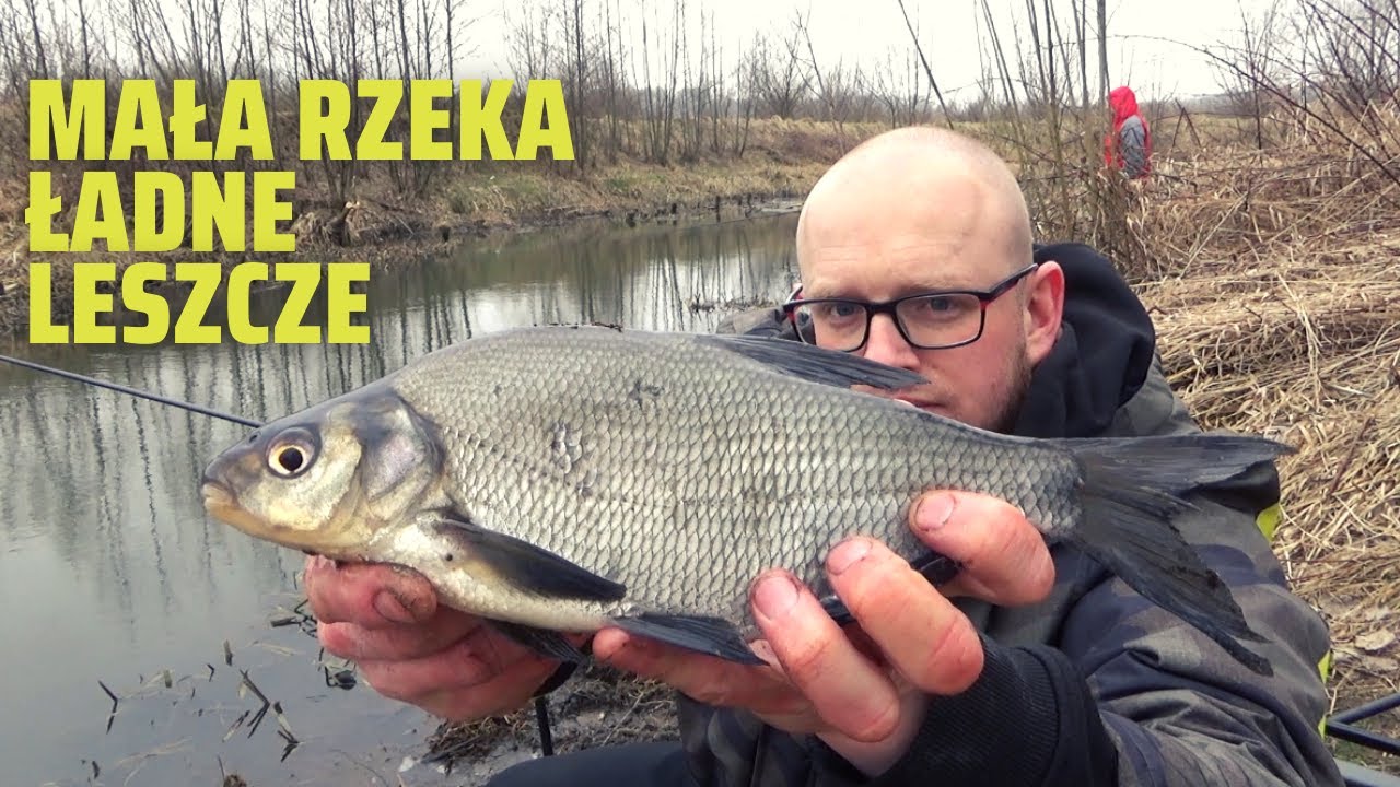 OWIENIE RYB NA SP AWIK 2023 BAT RZEKA PSZCZYNKA YouTube owienie-ryb-na-sp-awik-2023-bat-rzeka-pszczynka-youtube