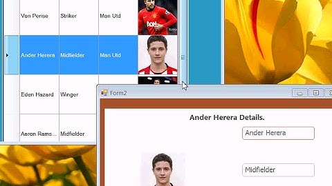 C# DataGridView - Master Detail With Dynamic Images and Text