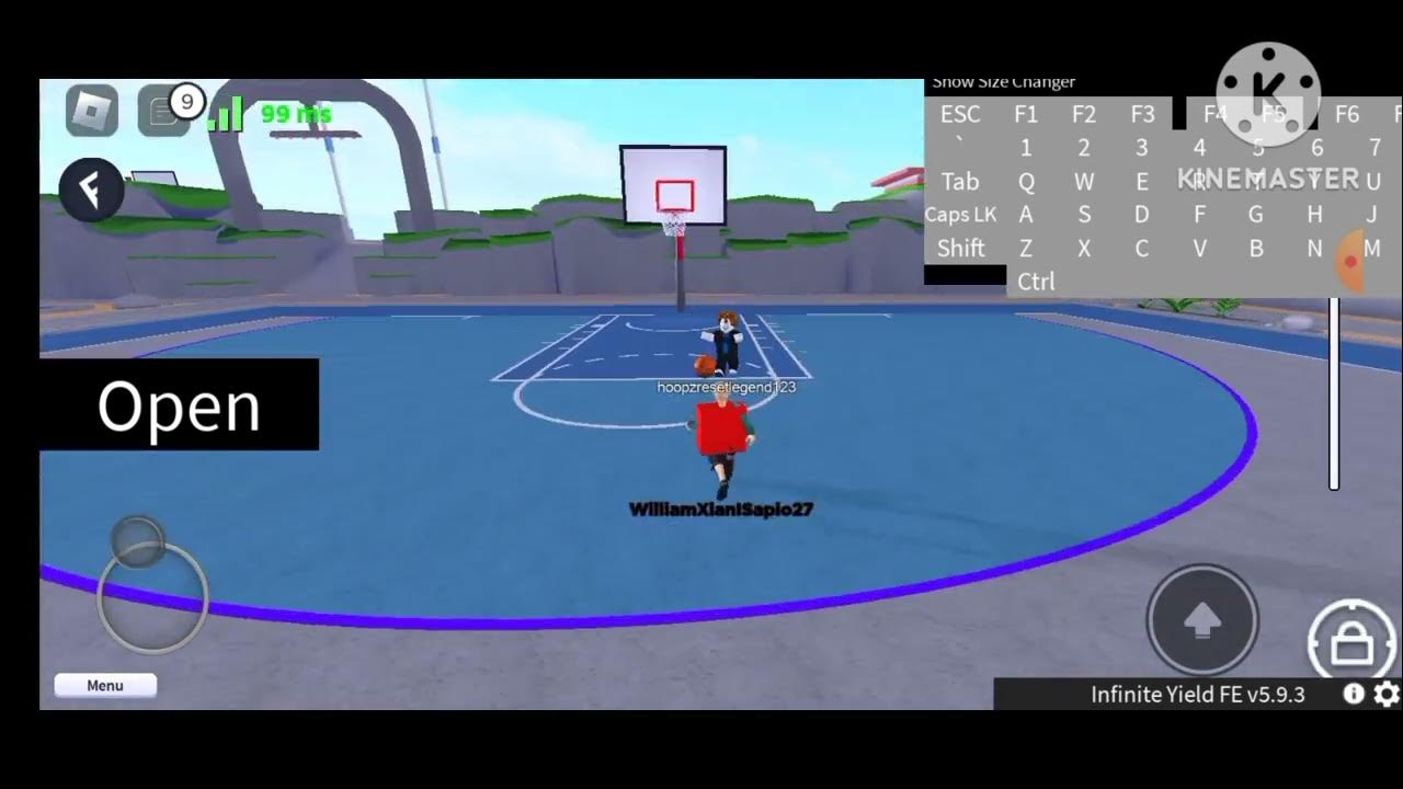 Hoopz script Credit ‎kenshi9344 YouTube