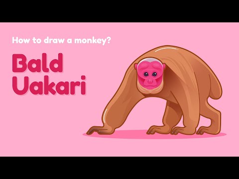 How to draw a monkey - Bald Uakari? Easy and simple drawing | Animal character design tutorial