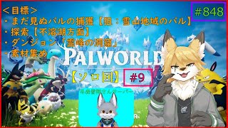 【パルワールド】モンスターを捕獲したい！#9