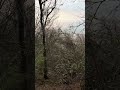 Talaria komodo crash