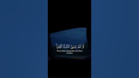 تلاوة مباركة خاشعة بصوت يلامس القلوب #اكسبلور #دويتو #حالات_واتس #القران #تيك_توك #خطبه #لايك #ترند