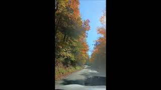 An autumn drive