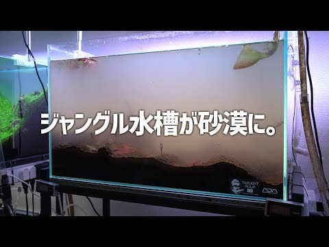 DEZERT 「変」「飼育部屋」 DEZERT 「変」「飼育部屋」 DEZERT 「変」「飼育部屋