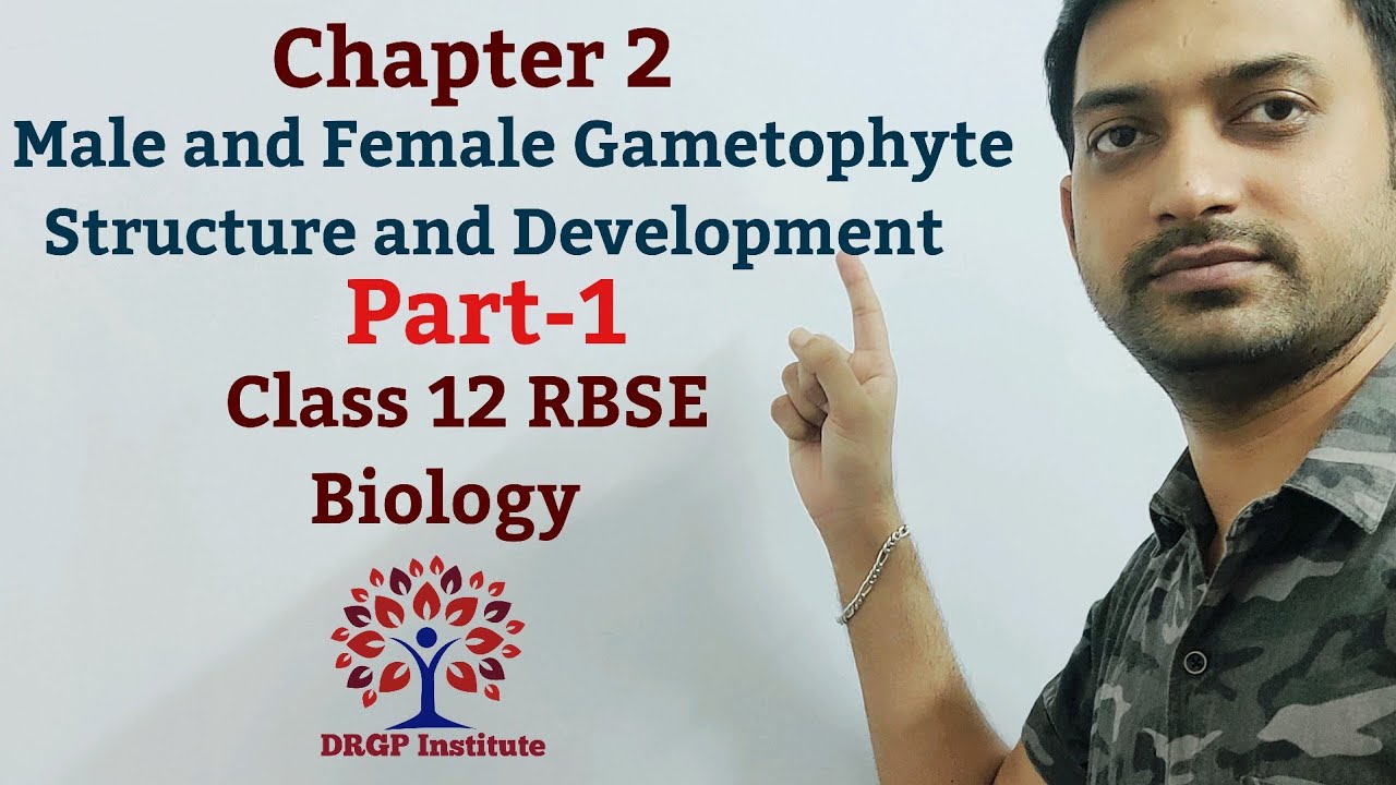 Class 12 Chapter 2 Male And Female Gametophyte Structure And