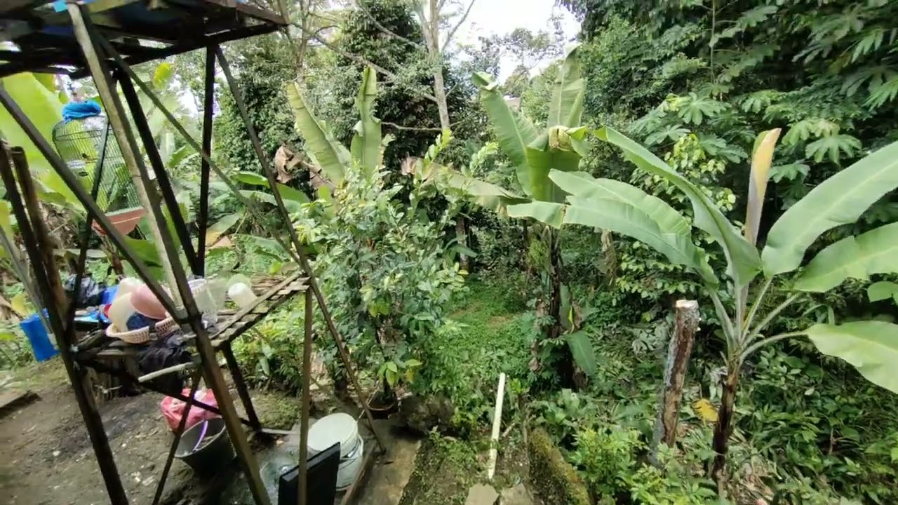 DI JUAL RUMAH LUAS 360 M2 SURAT AJB LOKASI PARUNGKUDA SUKABUMI 