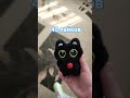 #catandpro #annaheim57 #котипро #ставьтелайки #лайк #рекомендации