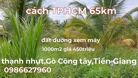 Ms369.1000m2 đất đường xe máy giá 450triệu.đất CLN.Thạnh nhựt,Gò Công Tây,Tiền Giang 0986627960