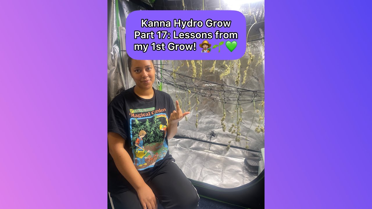 Cannabis Hydro Grow Part 17: Lessons from my 1st Grow! 👩🏽‍🌾🌱💚 (January 11th 2024)